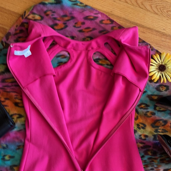 🌺 Diane von Furstenberg; STUNNING Fuschia Dress 0 - Picture 16 of 16